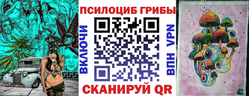Псилоцибиновые грибы ЛСД Шелехов